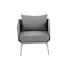 Tanuu Lounge Chair With Arms