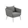 Tanuu Lounge Chair With Arms