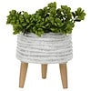 Ceramic Planter