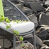 Gonzalo Lounge Chair