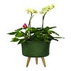 Up Mid Basket Planter