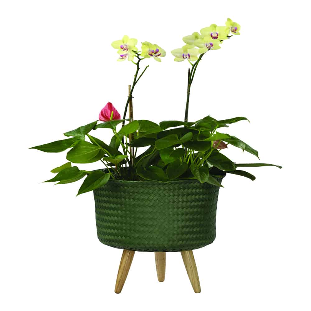 Up Mid Basket Planter