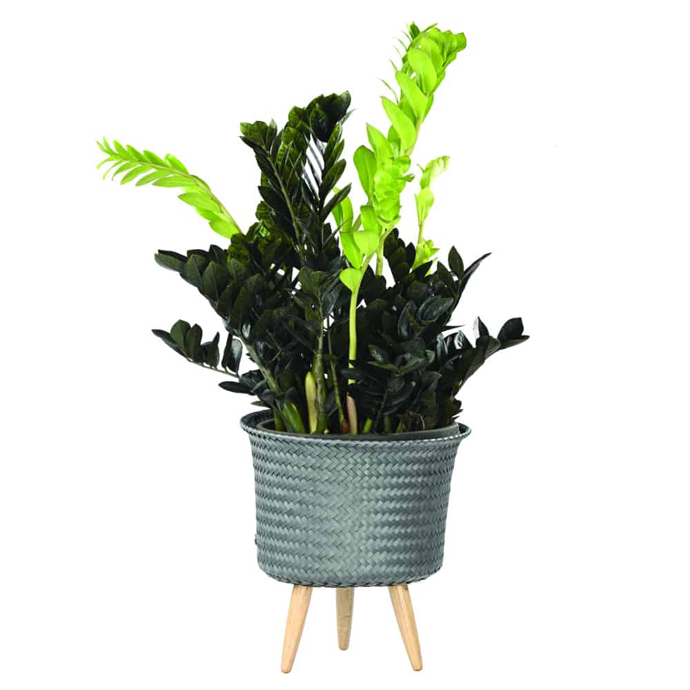 Up Mid Basket Planter