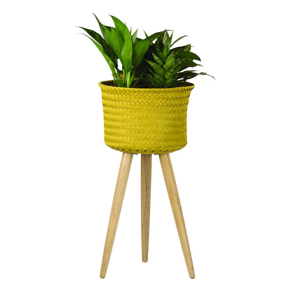 Up High Basket Planter