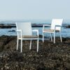 Rene Dining Chair