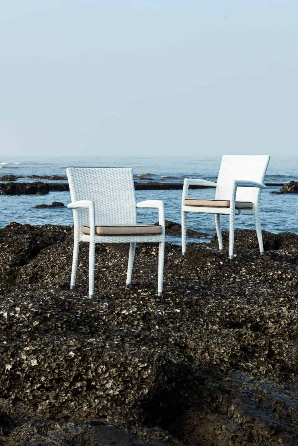 Rene Dining Chair