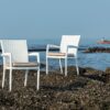 Rene Dining Chair