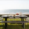 Rene Dining Chair