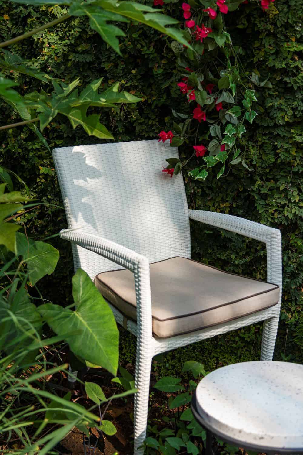 Rene Dining Chair