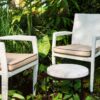 Rene Dining Chair