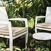 Rene Dining Chair