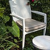 Rene Dining Chair