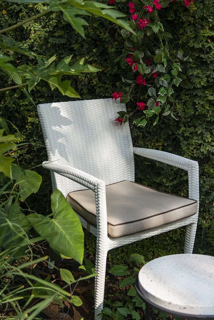 Rene Dining Chair