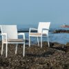 Rene Dining Chair