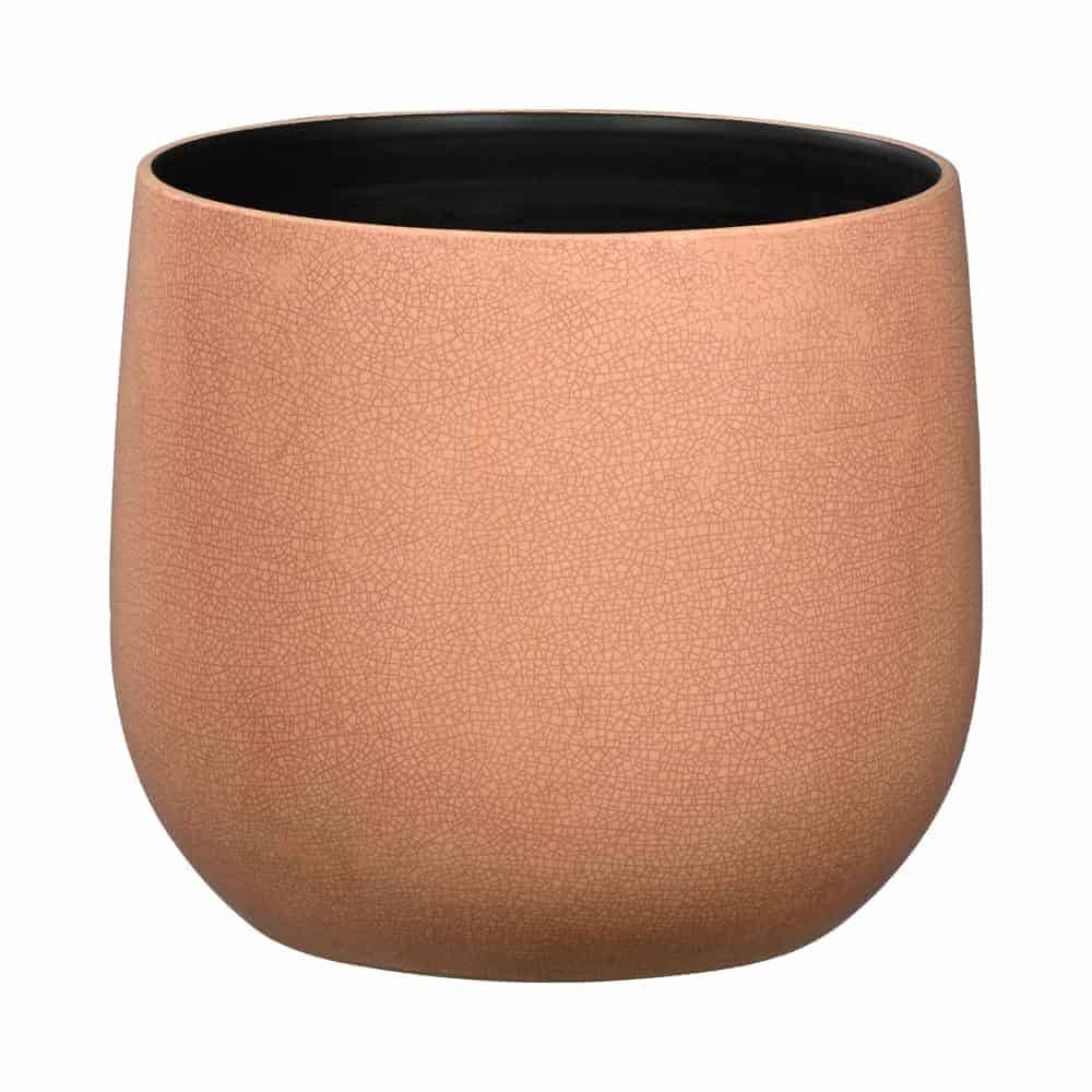 PLANTER AAR5799CO