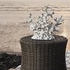 JAVIER SIDE TABLE