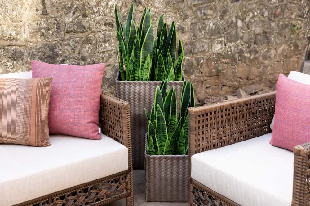 Roy-Rieng Armchair