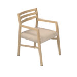 Blaze Dining Chair