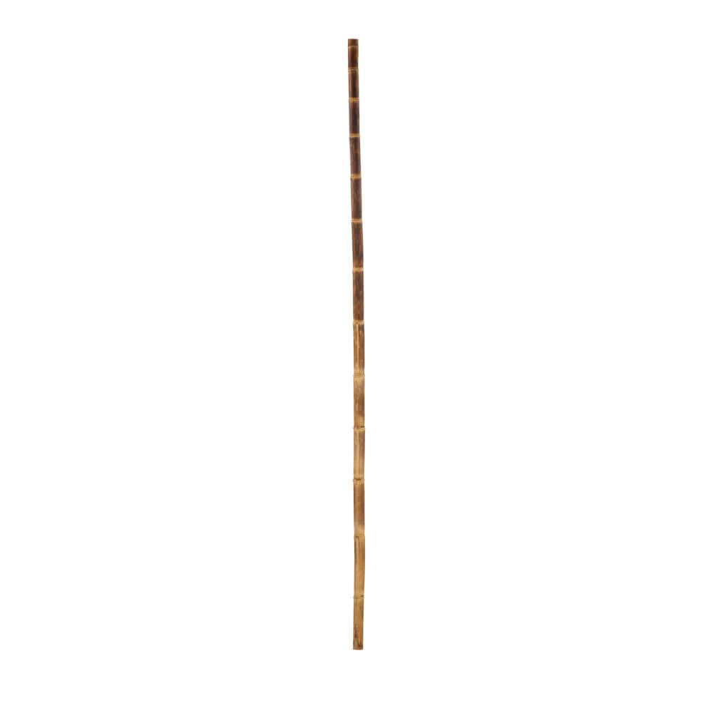 Plant Art DS Bamboo