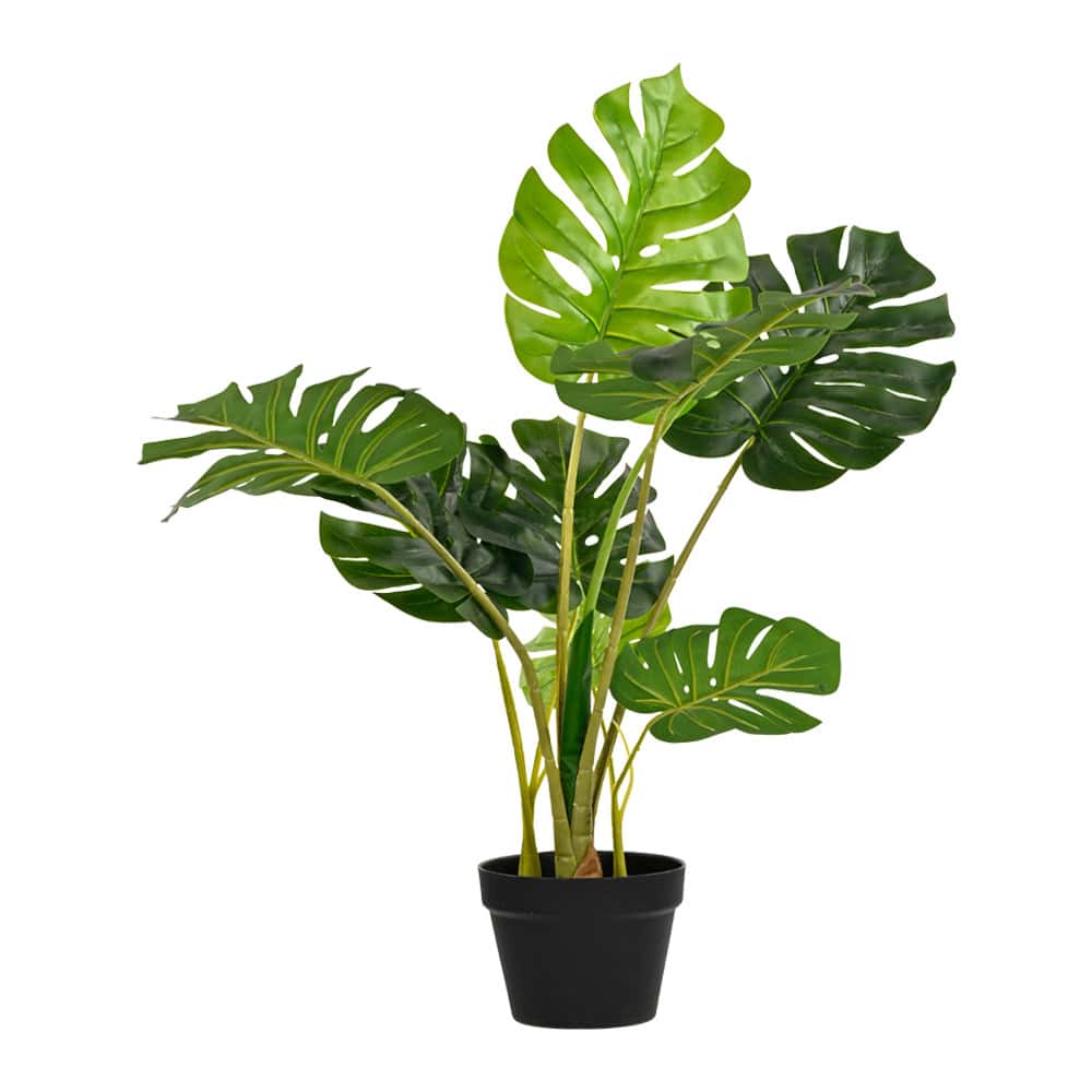 Plant Art Ap 85 CM Real Touch Monestera