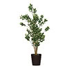 Plant Art Ap 155 CM Verecated Ficus