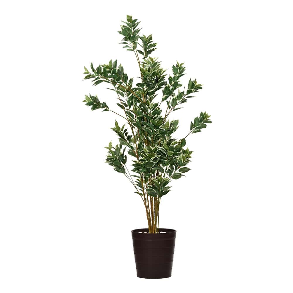 Plant Art Ap 155 CM Verecated Ficus
