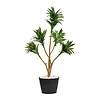 Plant Art Ap 86 CM Dracaena