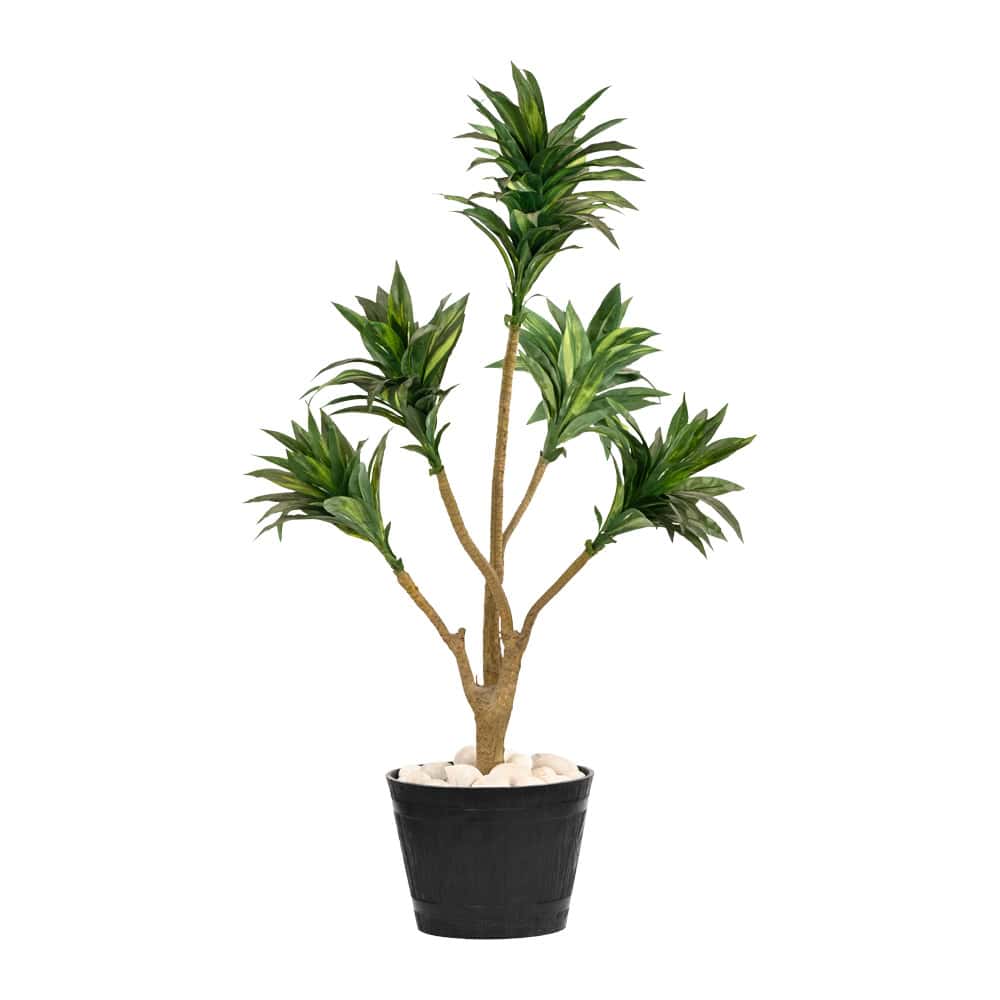 Plant Art Ap 86 CM Dracaena