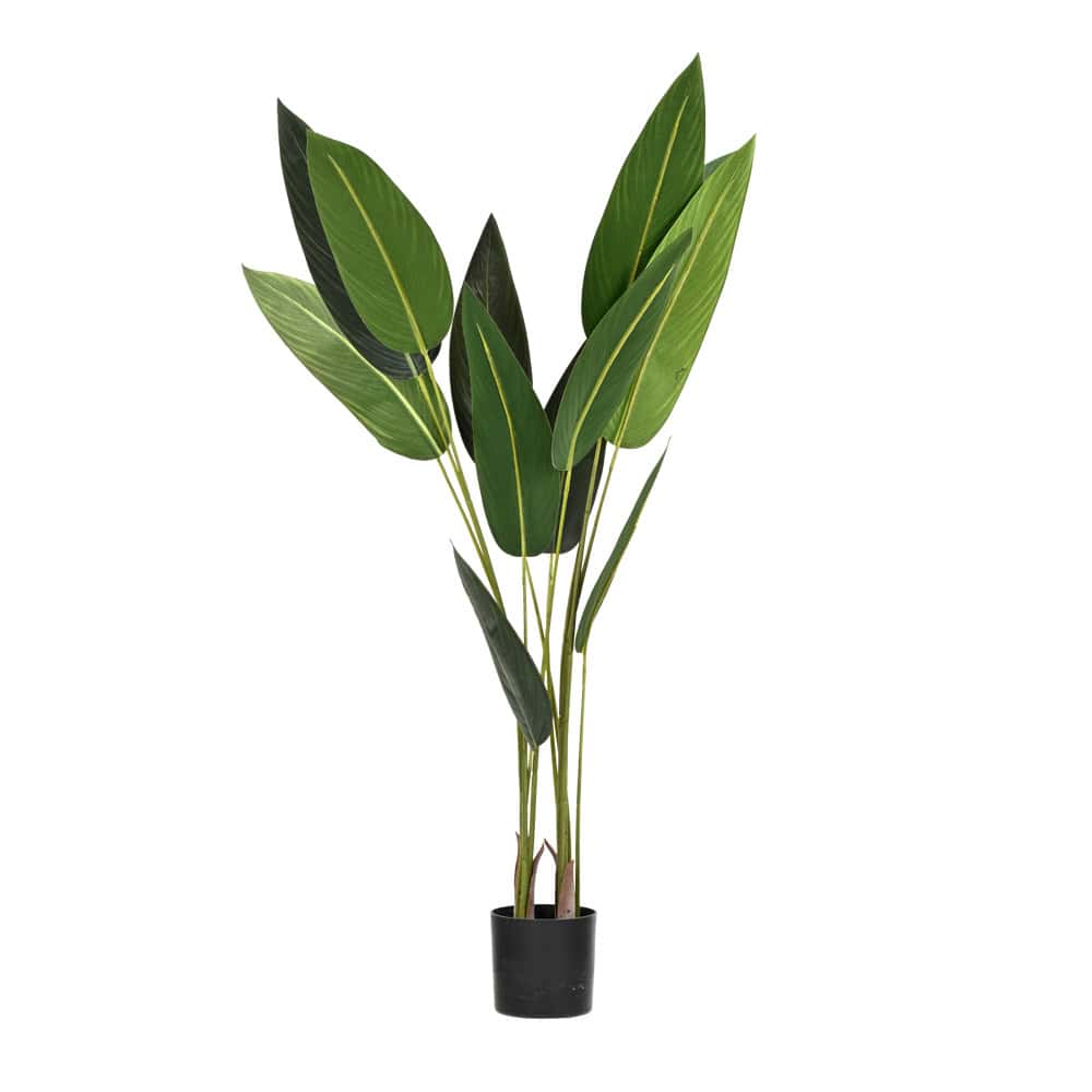 Plant Art Ap 130 CM BOP X12 LVS