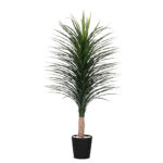 Plant Art Ap 150 CM  Nolina