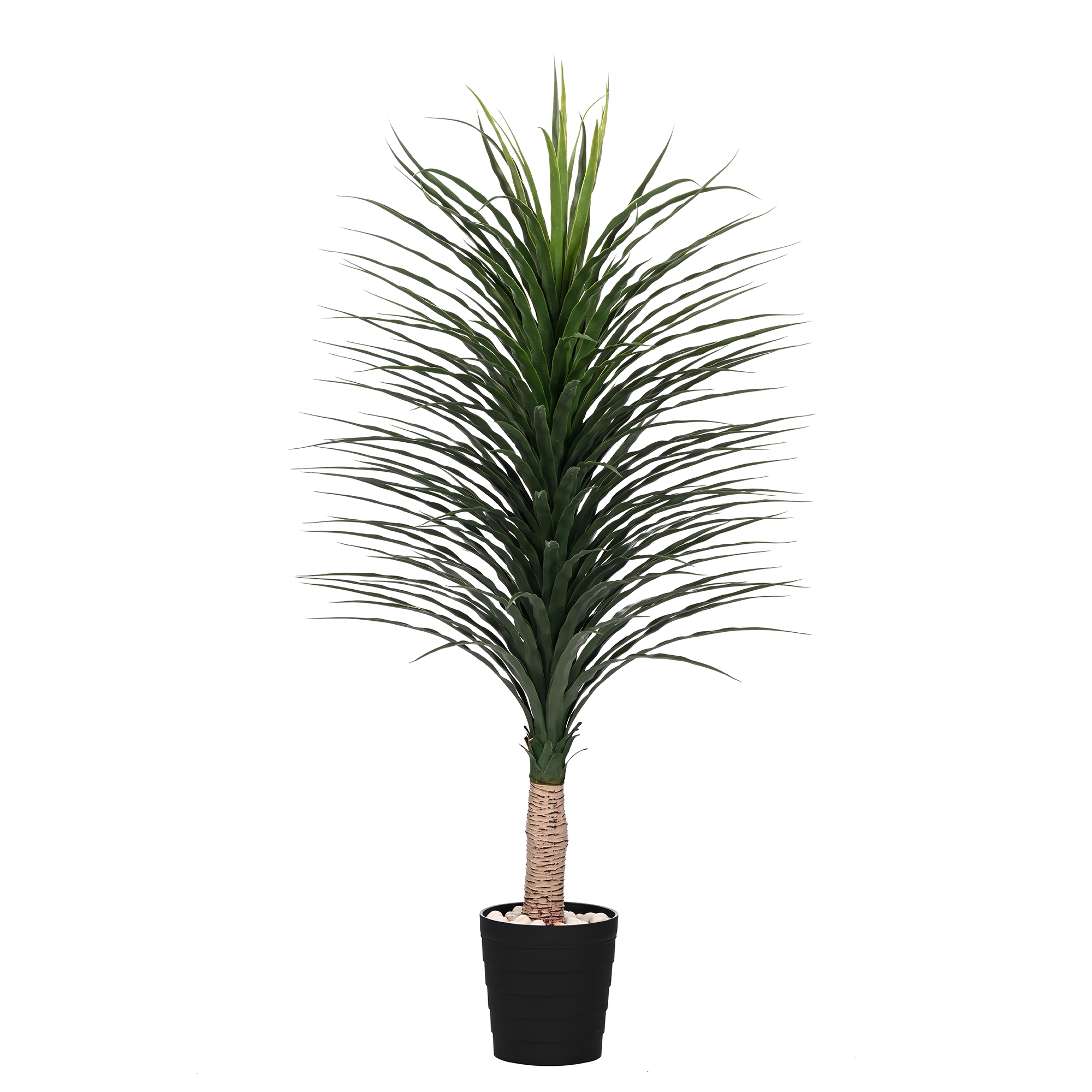 Plant Art Ap 150 CM  Nolina