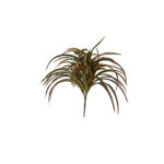 Plant Art Ag 60 CM Dracaena