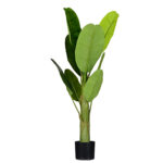 Plant Art Ap 100 CM Banana with Pot