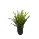 Plant Art Apt 58 CM Boston Fern with Pot