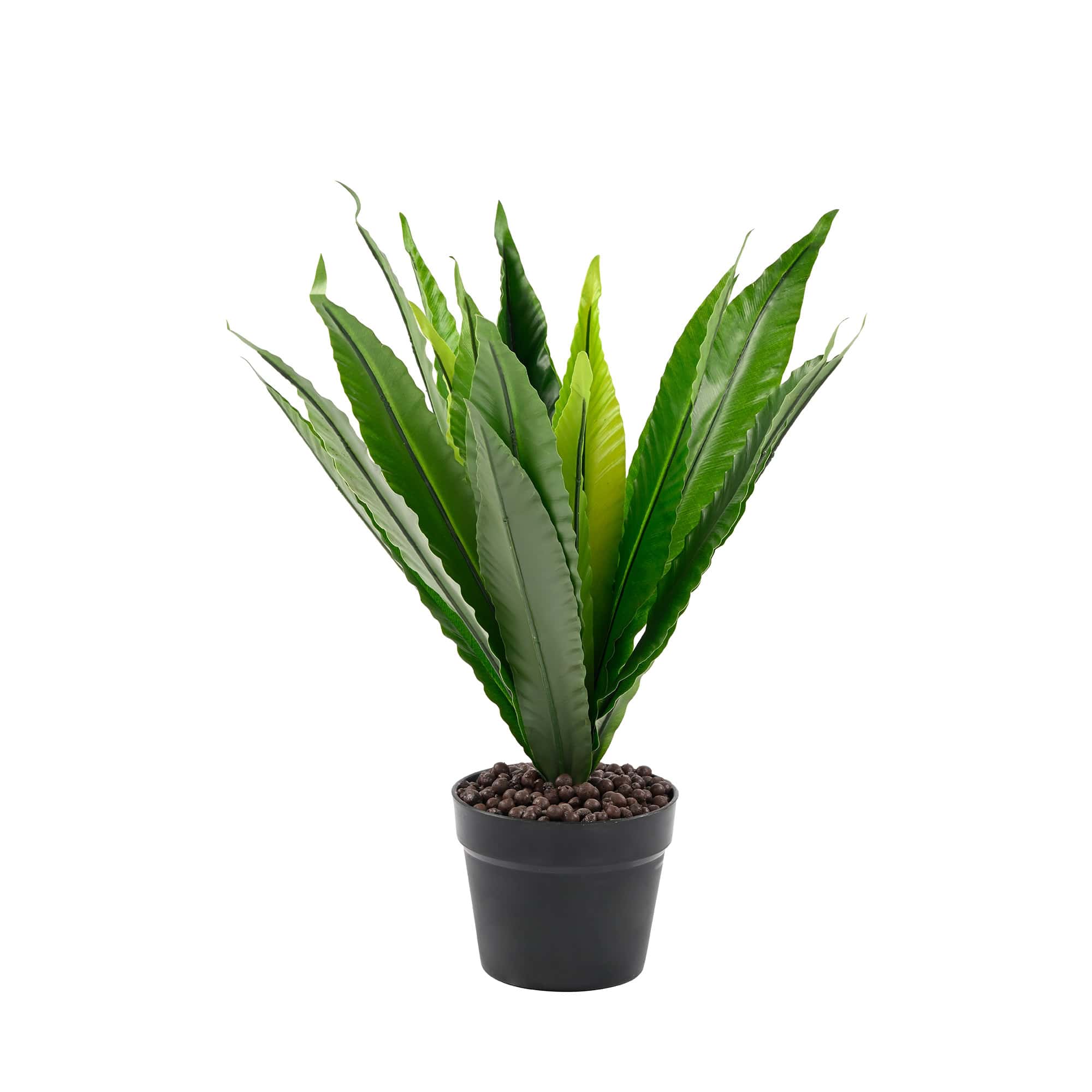 Plant Art Ap 50 CM Bird Nest with Pot