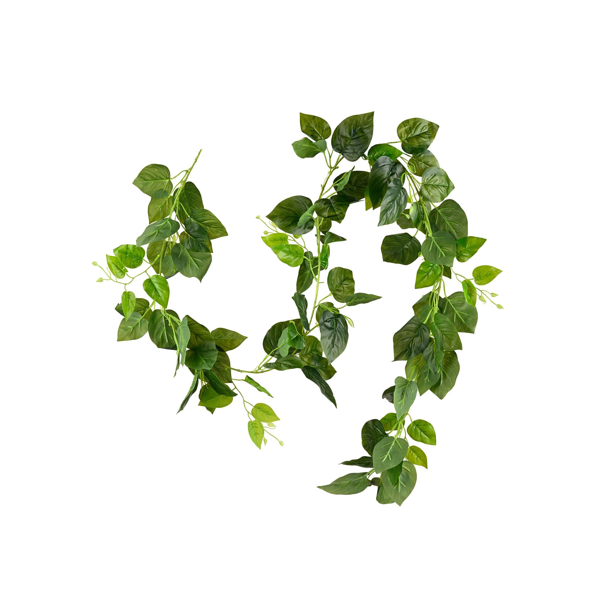 Plant Art Ac Pothos Green Bale