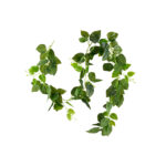 Plant Art Ac Pothos Green Bale