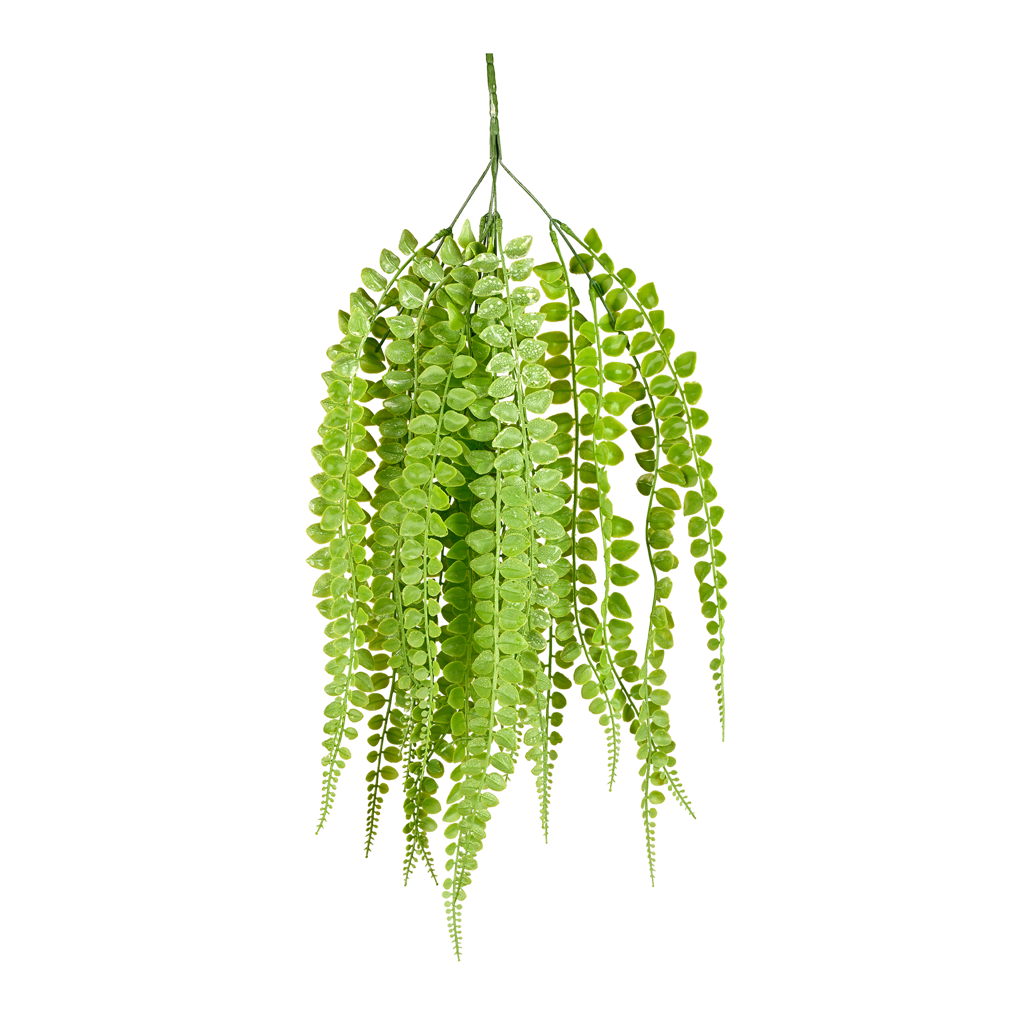 Plant Art Ac Hanging Eucalyptus