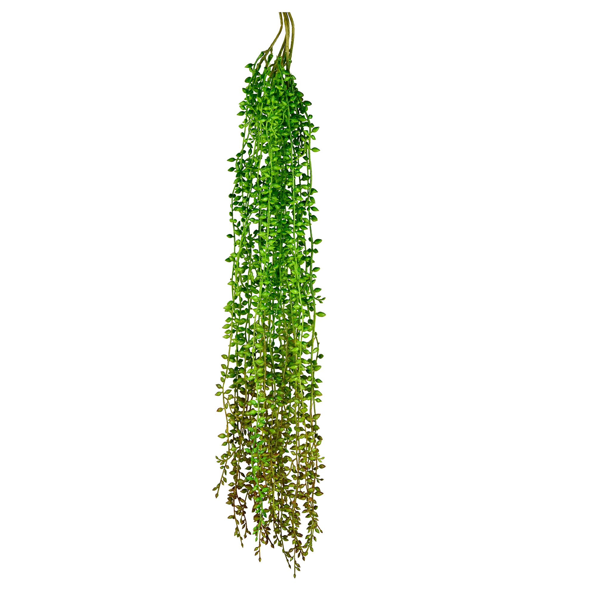 Plant Art Ac Hanging