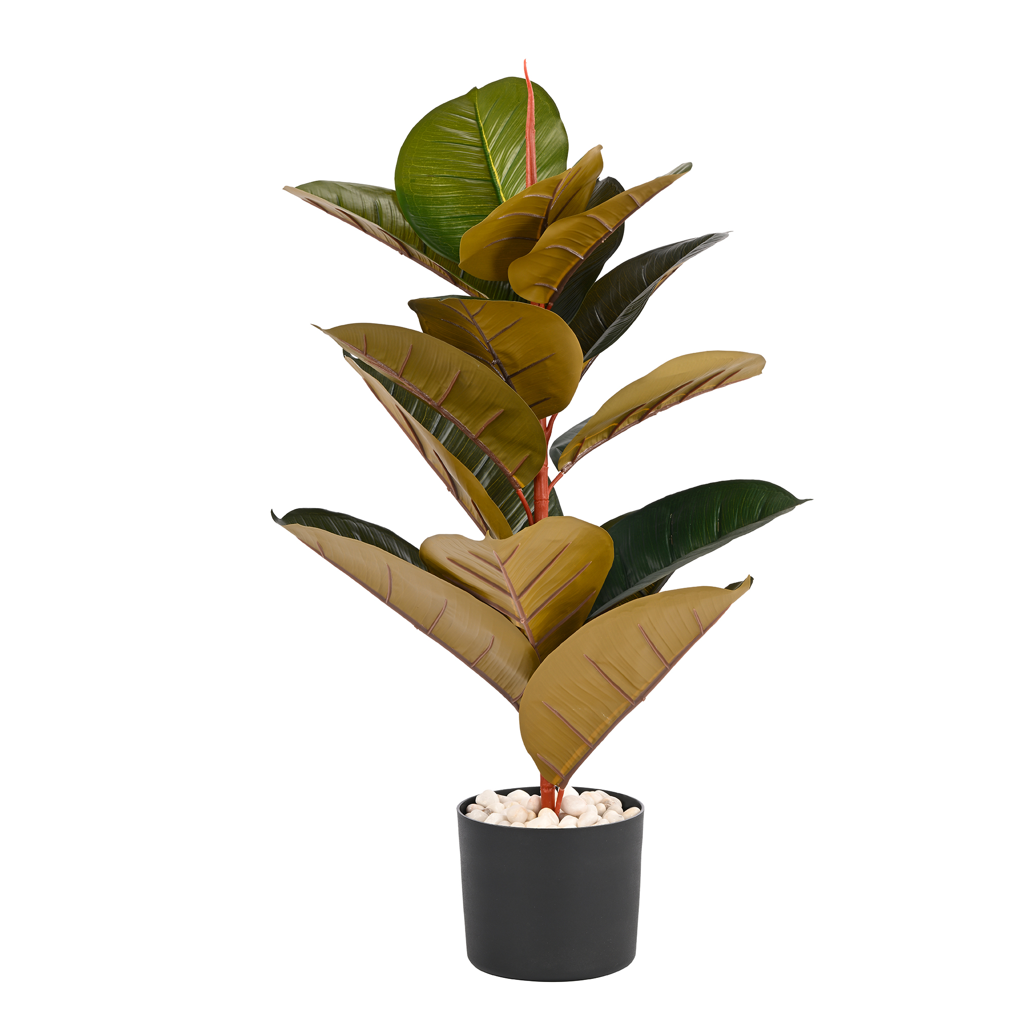 Plant Art Ap Rubber Plant