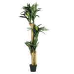 Plant Art Ap 176 CM Cordylinex3