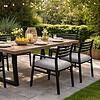 Blaze Dining Chair