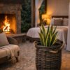 Pot Basket Planter