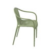 Palm Dining Chair