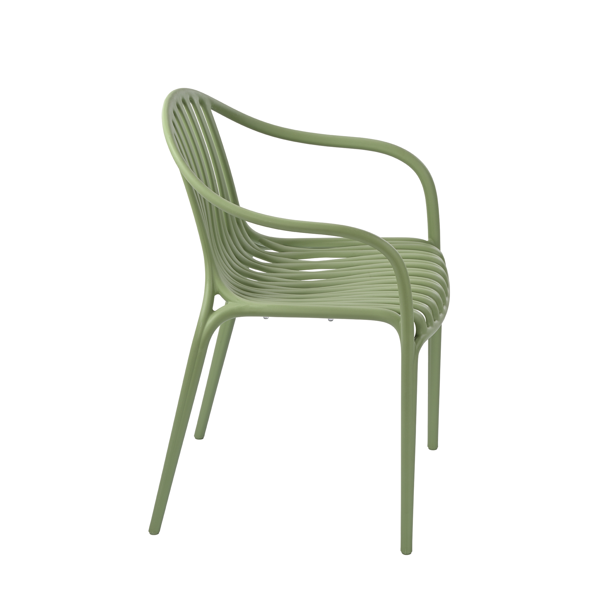 Palm Dining Chair
