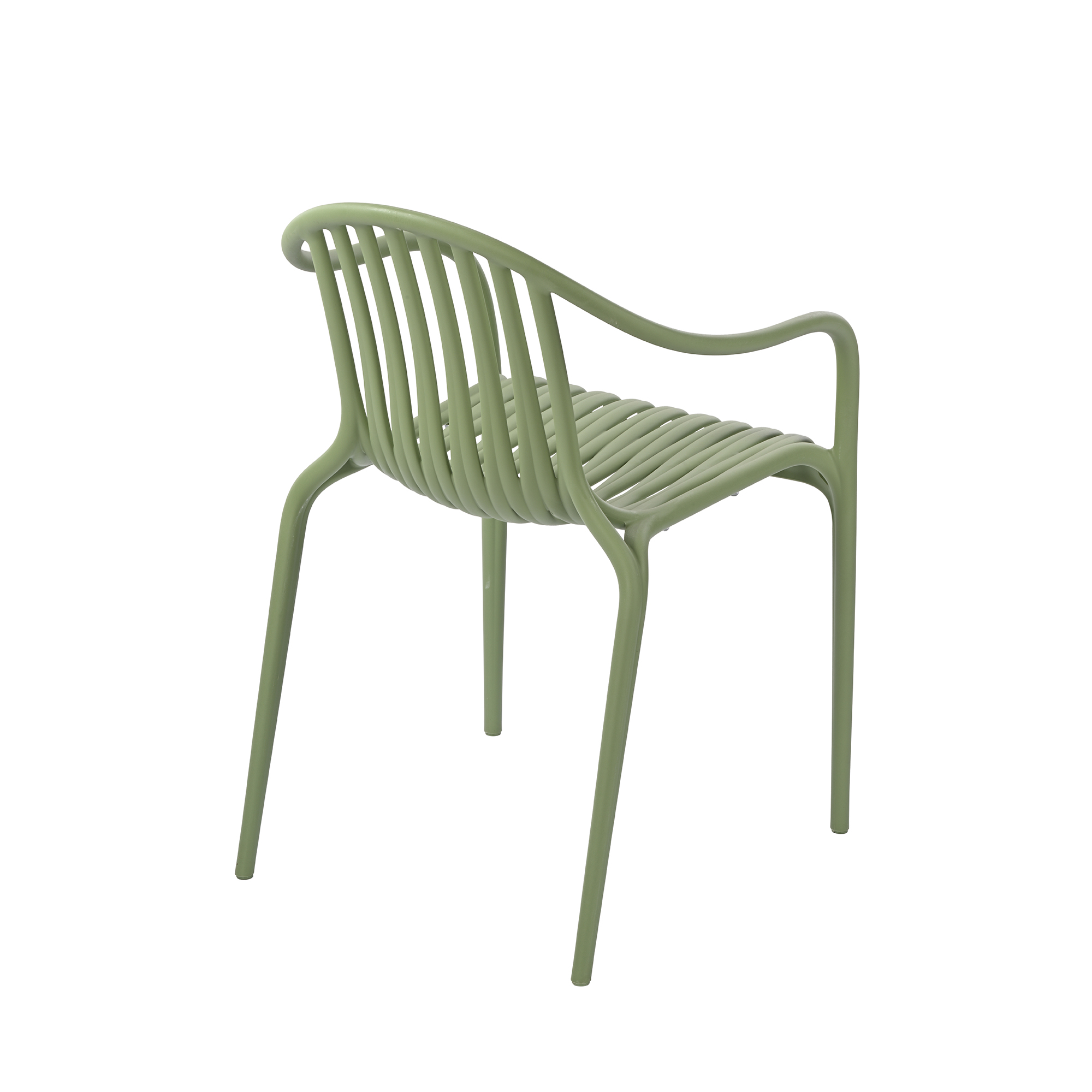 Palm Dining Chair