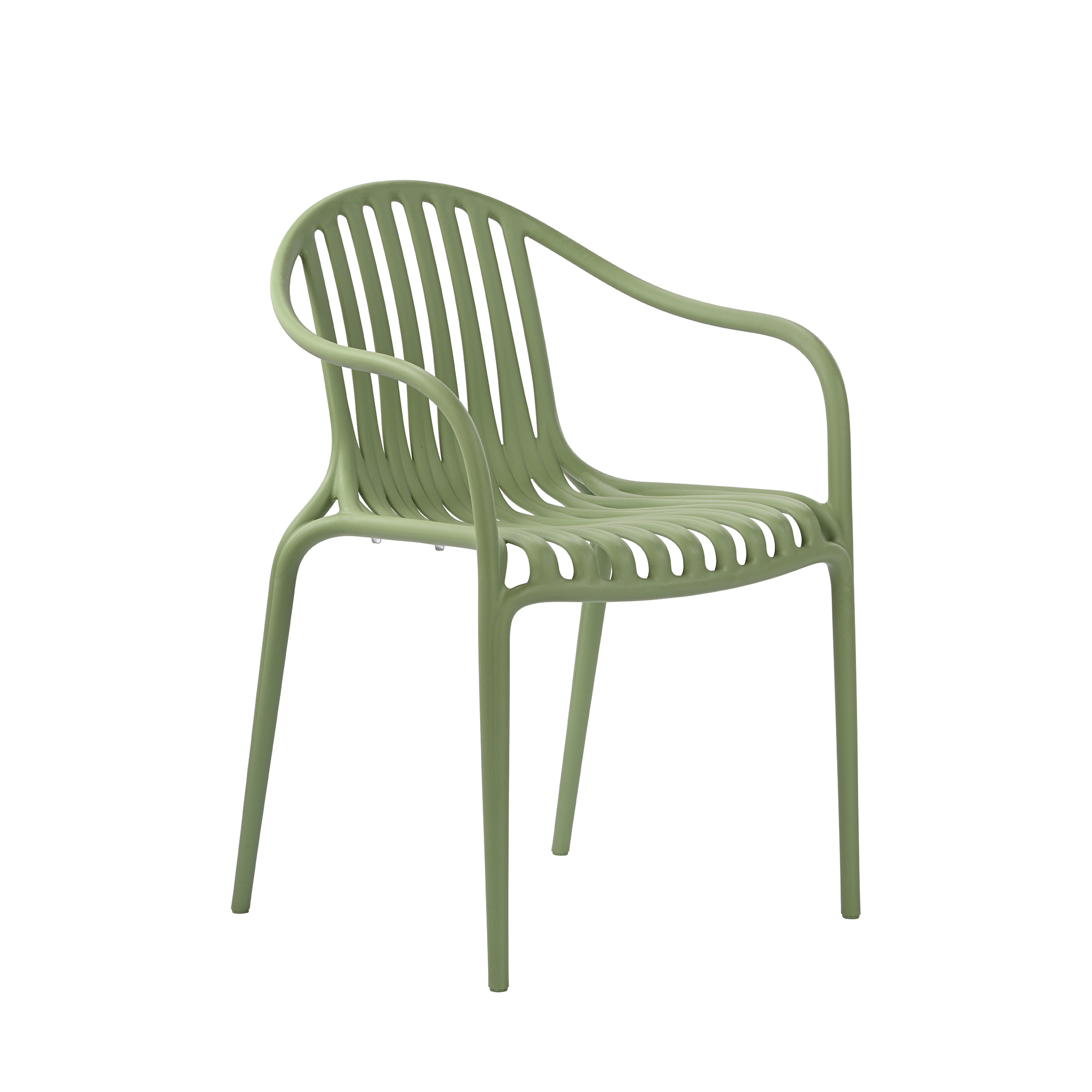 Palm Dining Chair