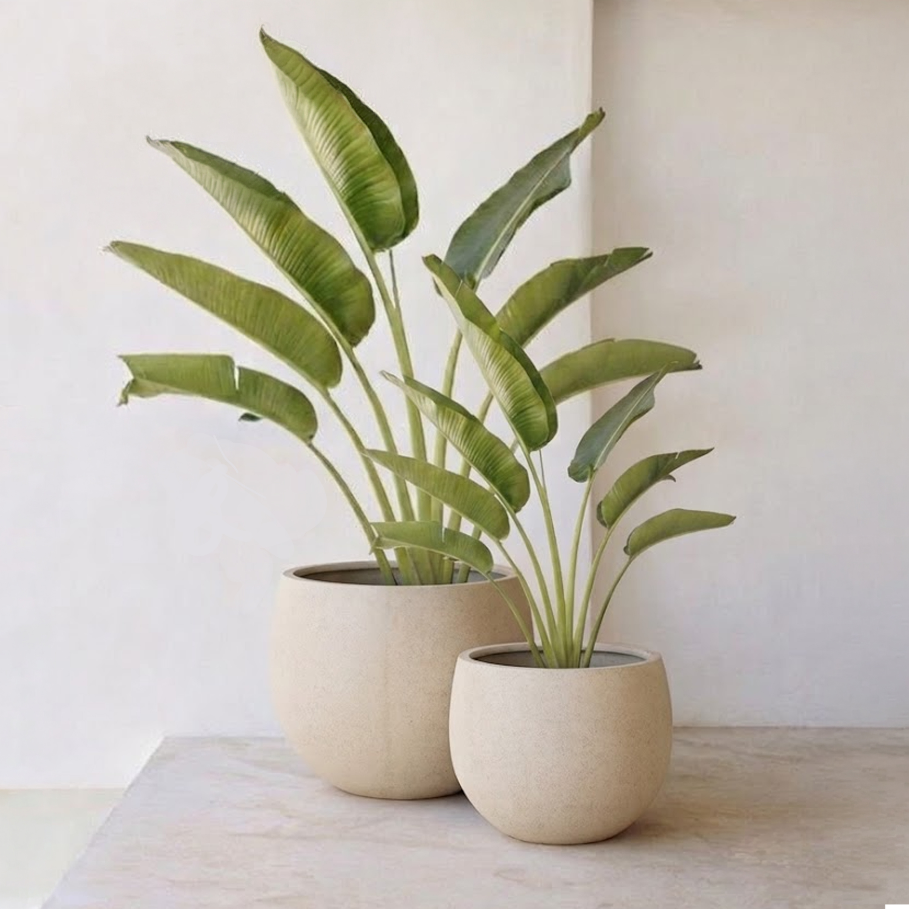 PLANTER OD 702-50024